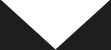 white triangle white triangle