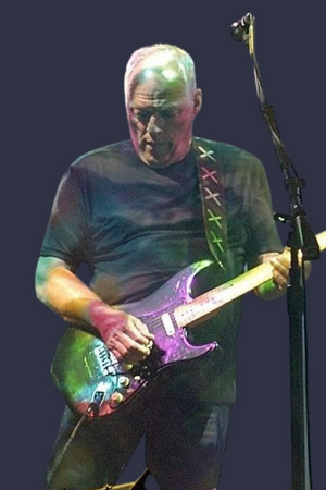 David Gilmour Rock Guitar Player