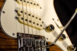 Guitar Pickups Featured